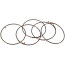 Pawl Spring MTB Fulcrum 5pcs