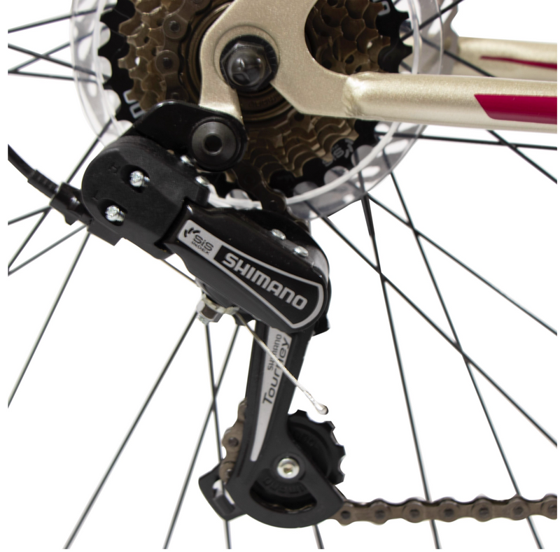 Benotto ignition online
