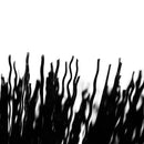 MUC-OFF CEPILLO PARA LLANTA Y CASSETTE