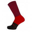 CALCETIN SANTINI BENGAL HP RED